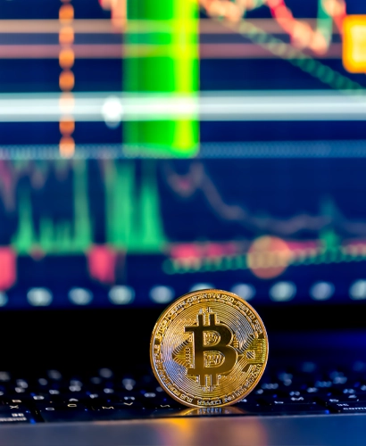 Fidato Bitvista Informazioni sul Trading